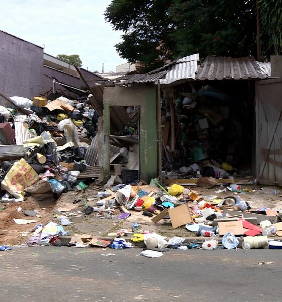 Como a Prefeitura de Campinas Enfrentou um Caso Extremo de Acumulação em uma Residência: A História Completa 2 Como a Prefeitura de Campinas Enfrentou um Caso Extremo de Acumula o em uma Resid ncia A Hist ria Completa
