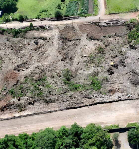 Desmatamento no Interior do Rio Grande do Sul: O Grito Silencioso da Mata Atlântica e a Luta Contra o Tempo 2 Desmatamento no Interior do Rio Grande do Sul O Grito Silencioso da Mata Atl ntica e a Luta Contra o Tempo