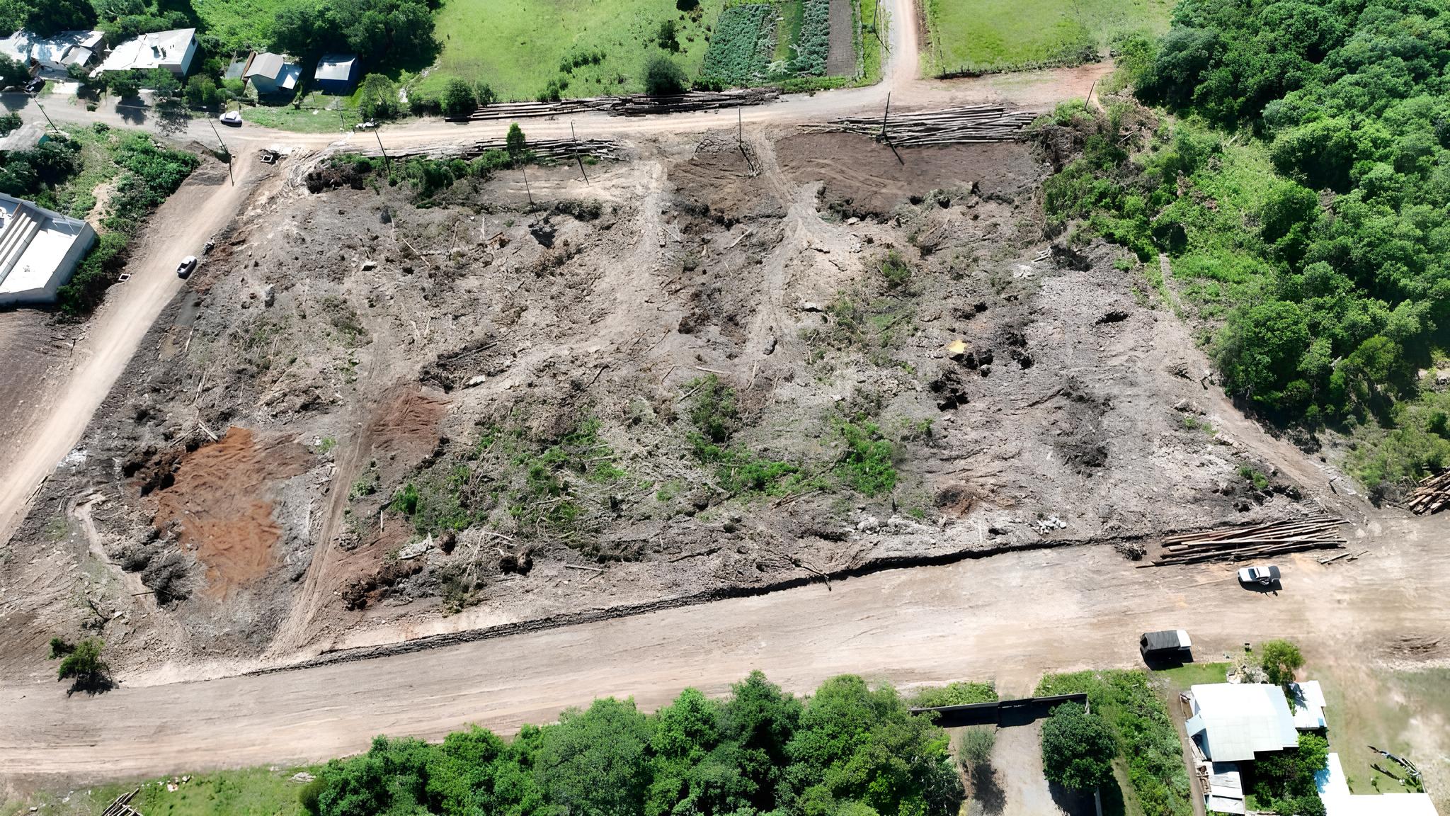 Desmatamento no Interior do Rio Grande do Sul: O Grito Silencioso da Mata Atlântica e a Luta Contra o Tempo 1 Desmatamento no Interior do Rio Grande do Sul O Grito Silencioso da Mata Atl ntica e a Luta Contra o Tempo