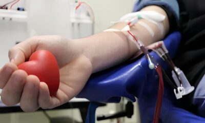 Quando o Sangue do Cora o Salva Vidas Como Servidores de Campinas Est o Transformando Solidariedade em Esperan a