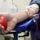 Quando o Sangue do Cora o Salva Vidas Como Servidores de Campinas Est o Transformando Solidariedade em Esperan a