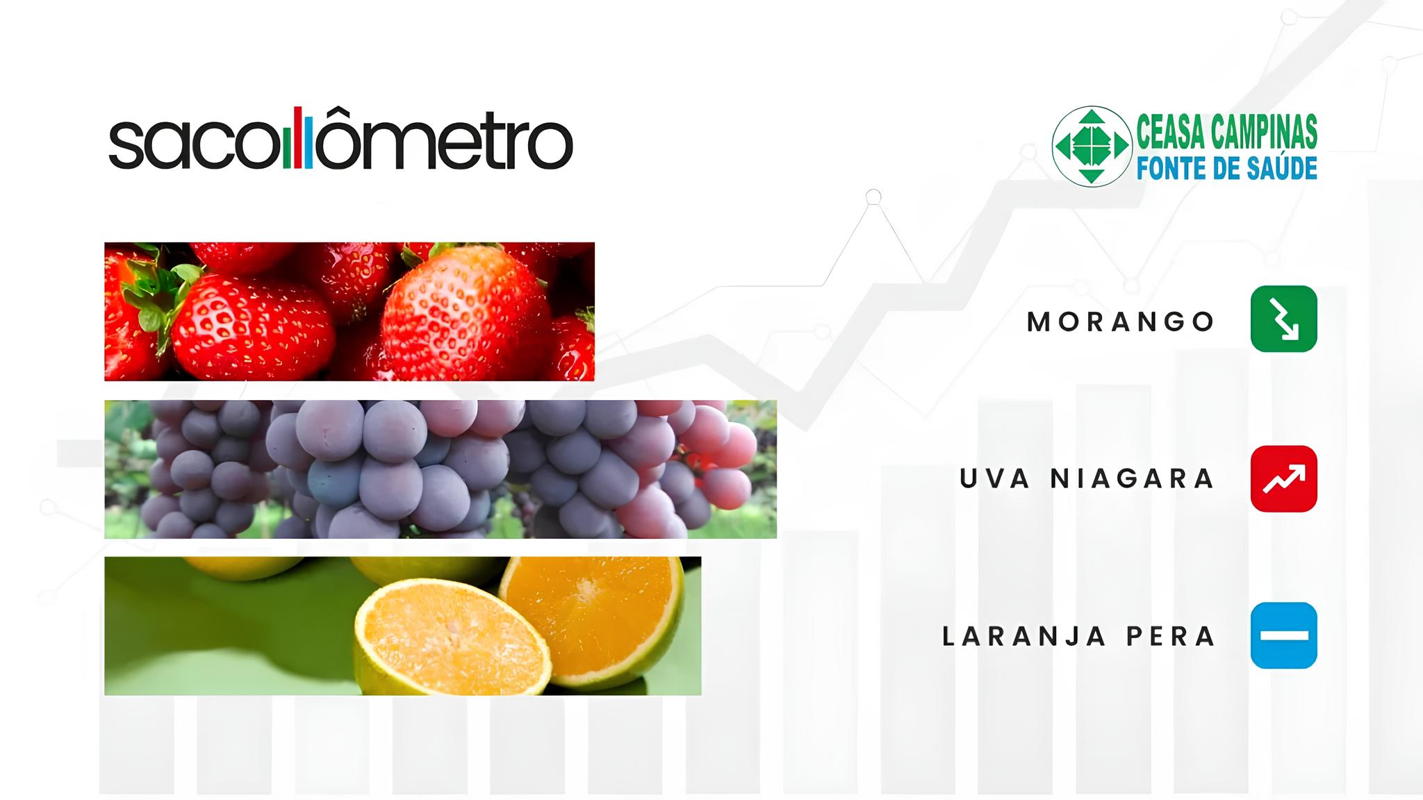 Sacolômetro da Ceasa Campinas: Morango Fica Mais Barato, Uva Mais Cara e Outras Surpresas do Mercado 1 Sacol metro da Ceasa Campinas Morango Fica Mais Barato Uva Mais Cara e Outras Surpresas do Mercado