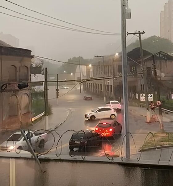 Temporal em Campinas: Como os Alagamentos Afetaram a Cidade e o Que Aprendemos com Isso 2 Temporal em Campinas Como os Alagamentos Afetaram a Cidade e o Que Aprendemos com Isso