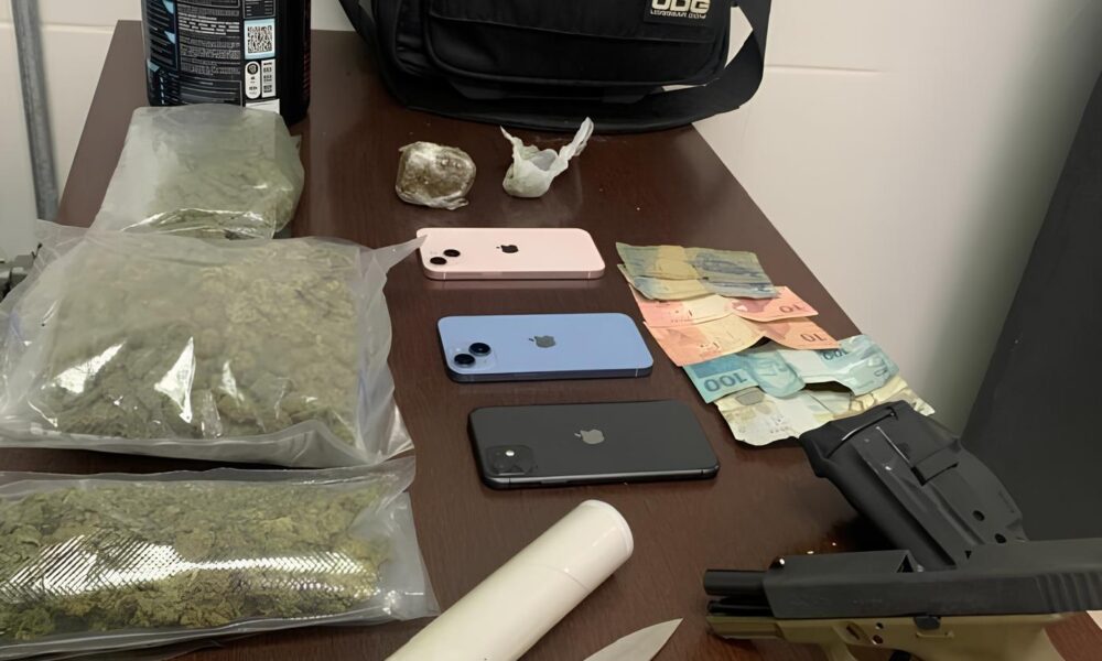 Traficante Preso com Maconha Valiosa em Santa B rbara d Oeste Entenda o Caso e Suas Implica es