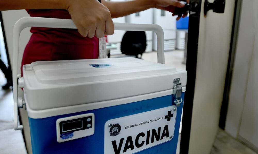 A Batalha Contra a Gripe em Campinas Como a Vacina o de 2025 Pode Redefinir a Sa de P blica na Cidade