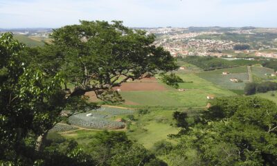 A Batalha Contra o Fogo na Serra dos Cocais Como Valinhos Est Preparando um Futuro Mais Seguro