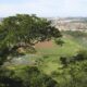 A Batalha Contra o Fogo na Serra dos Cocais Como Valinhos Est Preparando um Futuro Mais Seguro