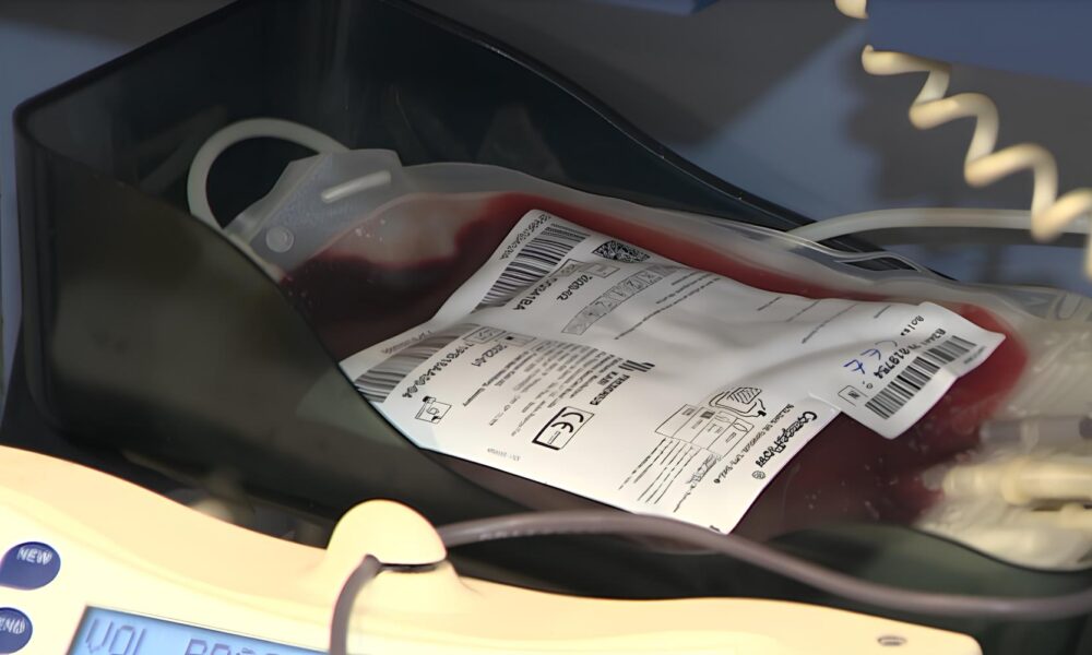 A Crise Silenciosa no Cora o de Campinas Por Que Seu Sangue Pode Ser a ltima Esperan a