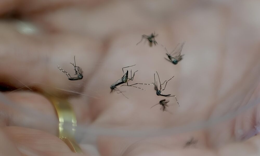 A Epidemia Silenciosa Como a Dengue Est Ceifando Vidas em Tiet e Regi o