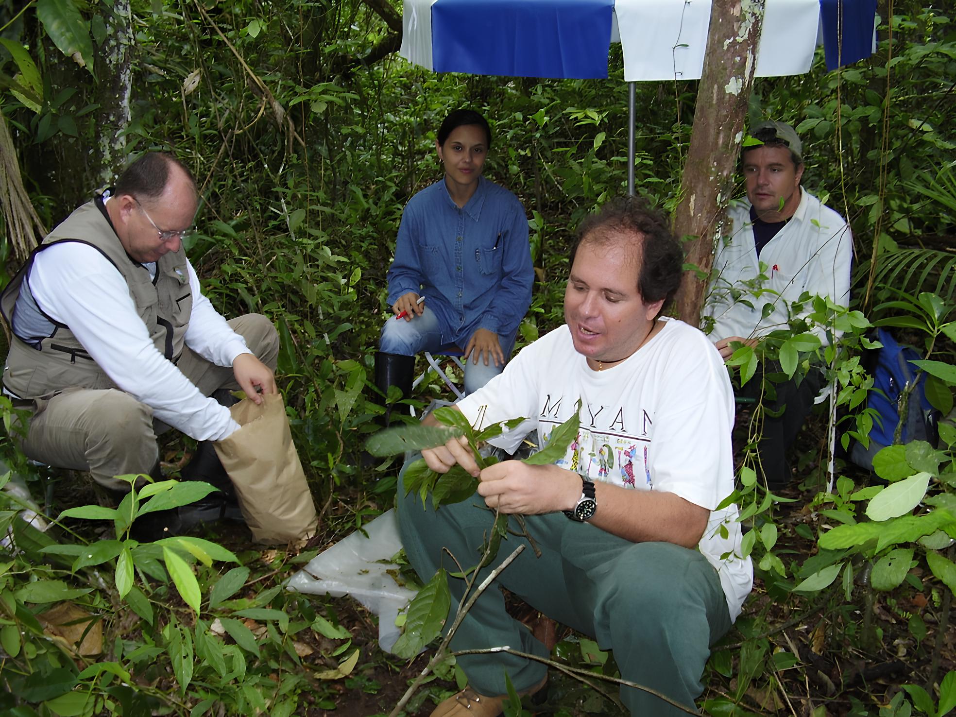 A Floresta Está Perdendo Sua Alma: Por Que Ipês e Jequitibás Podem Desaparecer Para Sempre? 1 A Floresta Est Perdendo Sua Alma Por Que Ip s e Jequitib s Podem Desaparecer Para Sempre