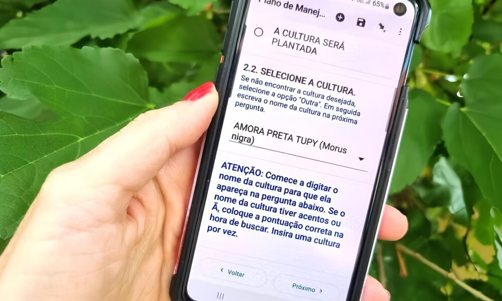 A Revolu o Digital no Campo Como uma Ferramenta Inovadora Est Transformando a Agricultura Org nica em S o Paulo