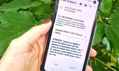 A Revolu o Digital no Campo Como uma Ferramenta Inovadora Est Transformando a Agricultura Org nica em S o Paulo
