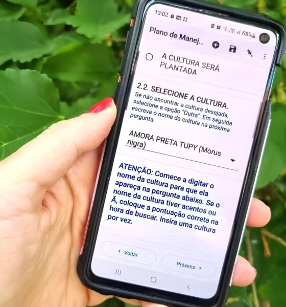 A Revolução Digital no Campo: Como uma Ferramenta Inovadora Está Transformando a Agricultura Orgânica em São Paulo 2 A Revolu o Digital no Campo Como uma Ferramenta Inovadora Est Transformando a Agricultura Org nica em S o Paulo