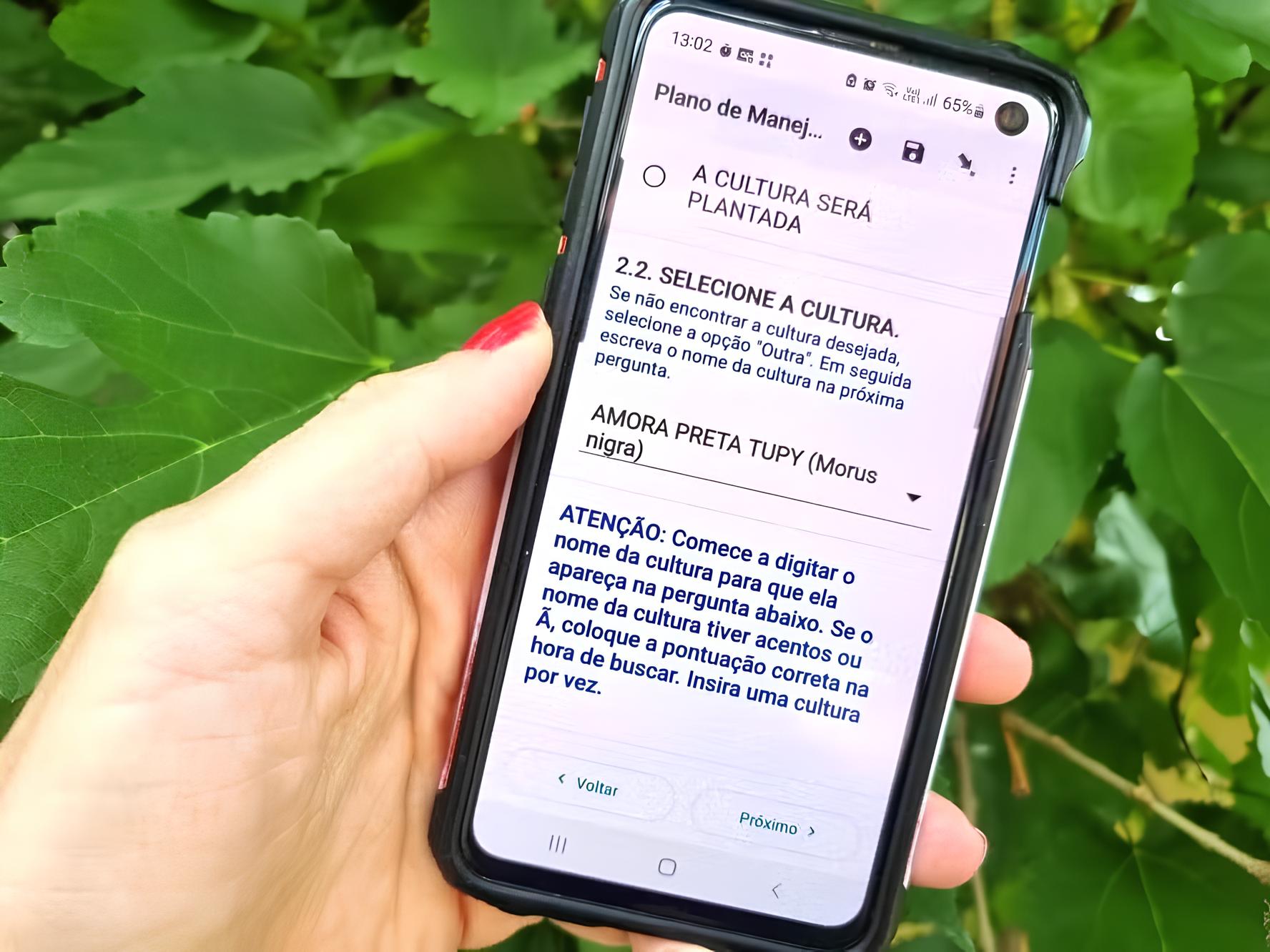 A Revolução Digital no Campo: Como uma Ferramenta Inovadora Está Transformando a Agricultura Orgânica em São Paulo 1 A Revolu o Digital no Campo Como uma Ferramenta Inovadora Est Transformando a Agricultura Org nica em S o Paulo