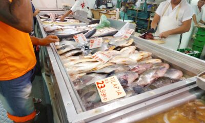 A Tradi o Mesa Como a Til pia e a Sardinha Conquistaram os Cora es e as Panelas na Semana Santa de 2025