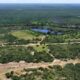 A Vit ria Silenciosa do Cerrado Como Mansid o Est Salvando o Futuro da Biodiversidade na Bahia