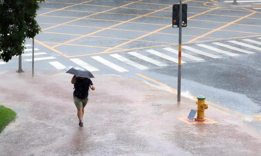 Campinas Beira de uma Tempestade Como a Natureza e a Cidade se Encontram em um Conflito Inevit vel