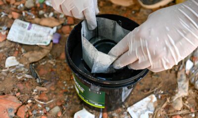 Campinas em Alerta 18 Bairros Sob Amea a de Surto de Dengue O Que Voc Precisa Saber Agora