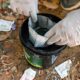 Campinas na Linha de Frente A Batalha Contra a Dengue em 2025 e os 15 Mil Casos que Sacudiram a Cidade