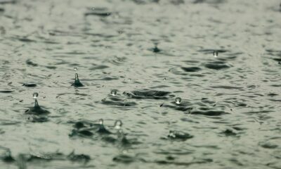 Chove Veneno Como Agrot xicos Est o Contaminando o Ar e a gua em Tr s Cidades de S o Paulo