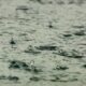 Chove Veneno Como Agrot xicos Est o Contaminando o Ar e a gua em Tr s Cidades de S o Paulo