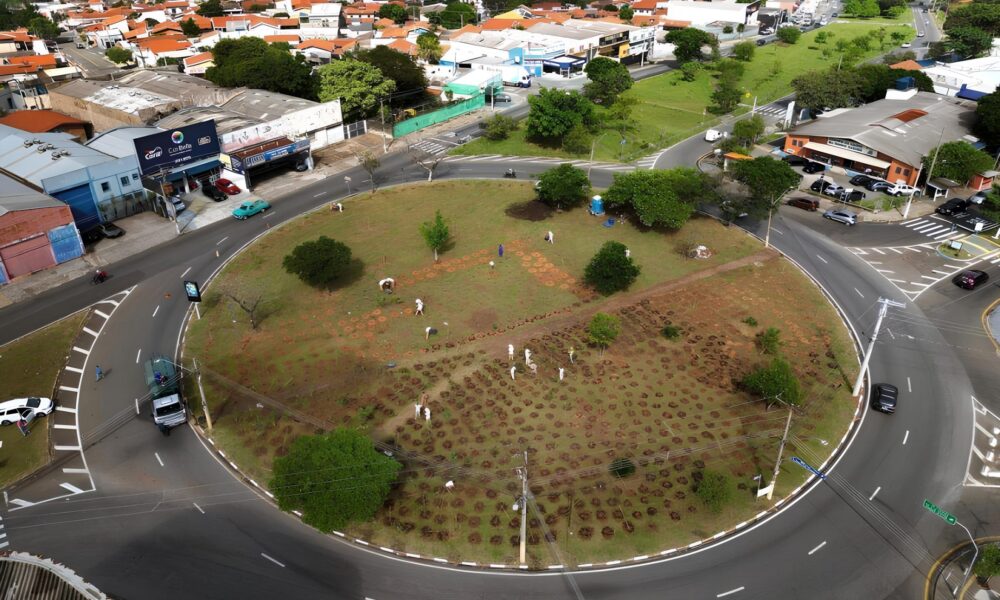 Como Campinas Est Transformando o Futuro com Suas 200 Microflorestas Urbanas