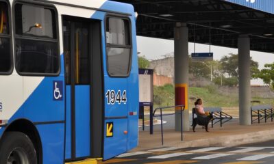Como Uma Linha de nibus em Campinas Virou S mbolo da Luta Entre Decis es Governamentais e a Voz do Povo