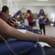 Como a Batalha Contra a Dengue em Amparo Pode Inspirar Outras Cidades Um Raio X dos Novos Polos de Atendimento