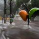 Como as Mudan as Clim ticas Est o Sufocando o Com rcio Paulista Preju zos Li es e Solu es para um Futuro Incerto