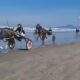 Corridas Mortais Ap s Trag dia em SP Litoral Refor a Seguran a e Reinventa Suas Praias