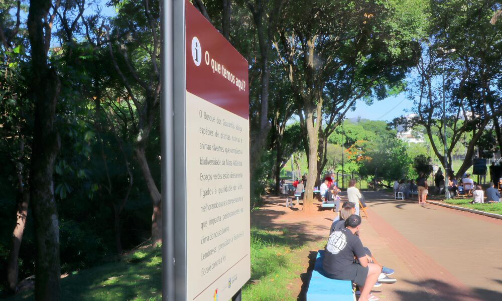 Descobrindo o Parque dos Guarant s Um Tesouro Verde Transformado em Passeio Educativo
