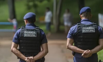 Guarda Municipal de Campinas Desvenda Mist rio Motorista Suspeito de Atropelamento Localizado em Menos de 48 Horas