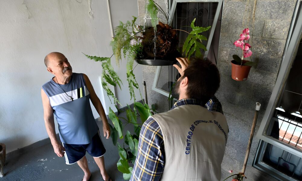 O Dia em que Campinas Decidiu Combater o Inimigo Silencioso A Batalha Contra a Dengue no Vida Nova