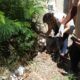 O Dia em que Campinas Decidiu Virar o Jogo Contra a Dengue O Mutir o Que Pode Salvar Vidas