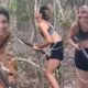 O Mist rio da On a Atingida Quando a Natureza e o Asfalto Colidem em Limeira