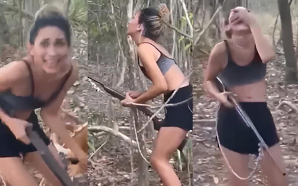 O Mist rio da On a Atingida Quando a Natureza e o Asfalto Colidem em Limeira