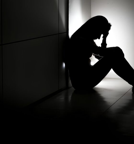 O Silêncio Quebrado: Como Campinas Está Confrontando a Epidemia de Violência Contra as Mulheres 2 O Sil ncio Quebrado Como Campinas Est Confrontando a Epidemia de Viol ncia Contra as Mulheres