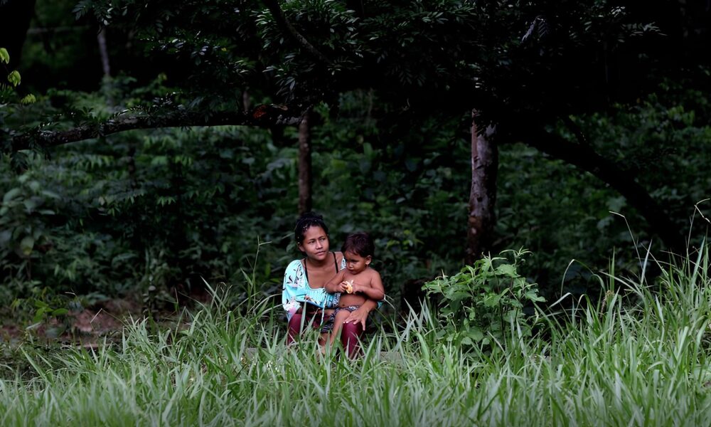 Os Guardi es da Terra Por Que as Terras Ind genas S o 31 Mais Preservadas E o Futuro do Nosso Planeta Depende Delas