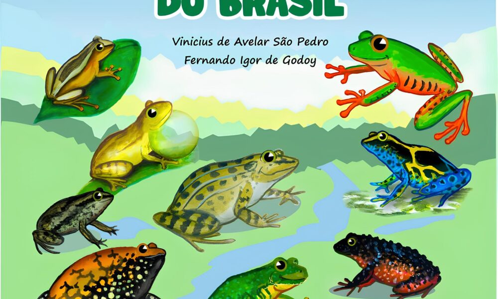 Os Sapos Incr veis do Brasil Como Um Livro Infantil Est Transformando o Futuro da Biodiversidade