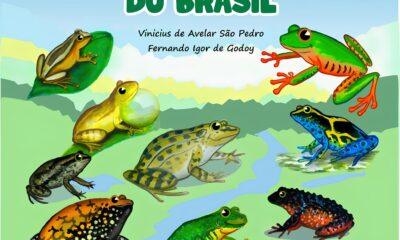 Os Sapos Incr veis do Brasil Como Um Livro Infantil Est Transformando o Futuro da Biodiversidade