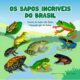 Os Sapos Incr veis do Brasil Como Um Livro Infantil Est Transformando o Futuro da Biodiversidade