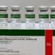 Prote o em Tempos de Incerteza Campinas Inicia Campanha de Vacina o Contra a Gripe em 7 de Outubro O Que Voc Precisa Saber