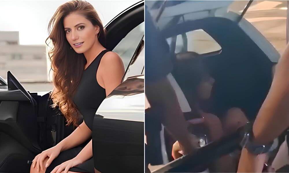 Quem Ana Paula Leme A Ascens o e Queda de uma Estrela do Entretenimento Brasileiro