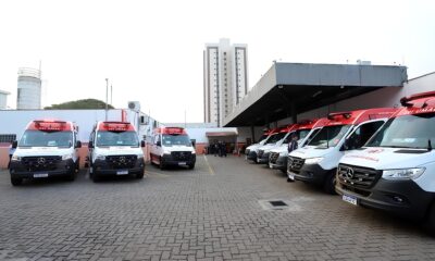 18 Acidentes Por Dia A Epidemia Silenciosa das Ruas de Campinas