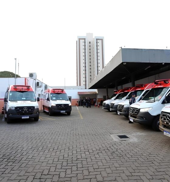18 Acidentes Por Dia: A Epidemia Silenciosa das Ruas de Campinas 2 18 Acidentes Por Dia A Epidemia Silenciosa das Ruas de Campinas
