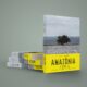 A Amaz nia Chega a Campinas Uma Noite de Fotografia Reflex o e Hist rias do Rio Tapaj s no Lan amento do Livro de Giancarlo Giannelli