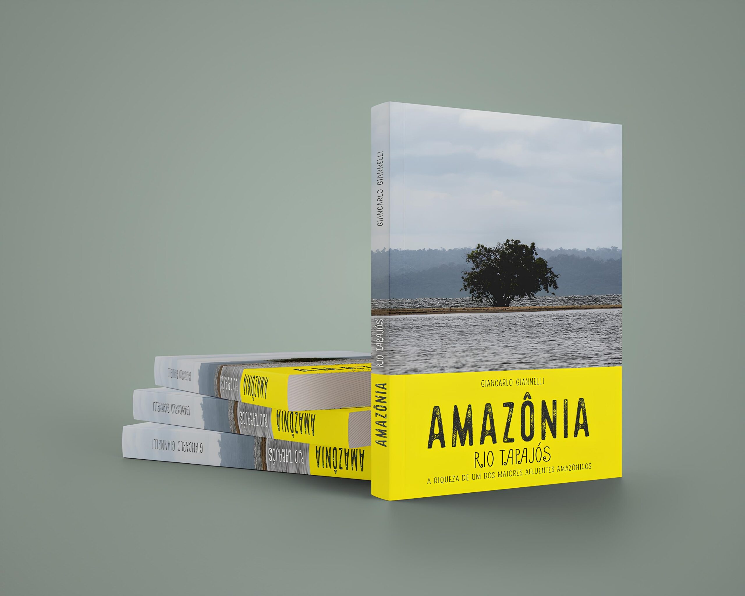 A Amazônia Chega a Campinas: Uma Noite de Fotografia, Reflexão e Histórias do Rio Tapajós no Lançamento do Livro de Giancarlo Giannelli 1 A Amaz nia Chega a Campinas Uma Noite de Fotografia Reflex o e Hist rias do Rio Tapaj s no Lan amento do Livro de Giancarlo Giannelli scaled