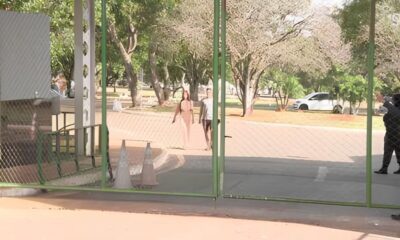 A Amea a Invis vel Como a Suspeita de Gripe Avi ria no Zool gico de Bras lia Pode Redefinir Nossa Rela o com a Natureza