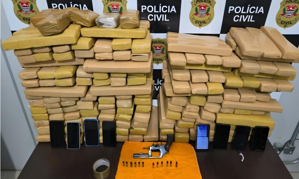 A Batalha Silenciosa Como 190 Kg de Maconha e uma Opera o Policial em Engenheiro Coelho Revelam o Jogo do Crime no Interior Paulista