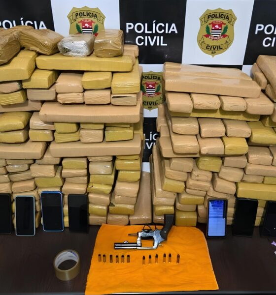 A Batalha Silenciosa: Como 190 Kg de Maconha e uma Operação Policial em Engenheiro Coelho Revelam o Jogo do Crime no Interior Paulista 2 A Batalha Silenciosa Como 190 Kg de Maconha e uma Opera o Policial em Engenheiro Coelho Revelam o Jogo do Crime no Interior Paulista